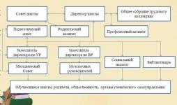 Организационная структура управления МБОУ - Ново-Ямской ООШ